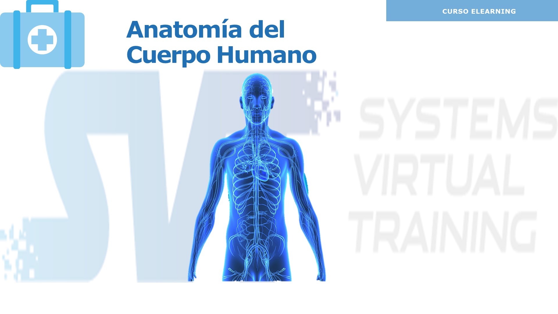 Primeros Auxilios Módulo 1: Anatomía del cuerpo humano